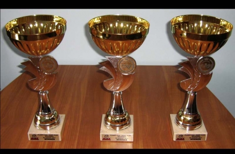 WHO WILL WIN THE TROPHYS? # Armwrestling # Armpower.net