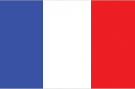 Worlds 2013 - team France # Armwrestling # Armpower.net