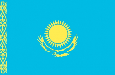 Kazakhstan National Championships 2014 # Armwrestling # Armpower.net