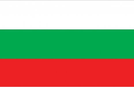Worlds 2013 - team Bulgaria # Armwrestling # Armpower.net