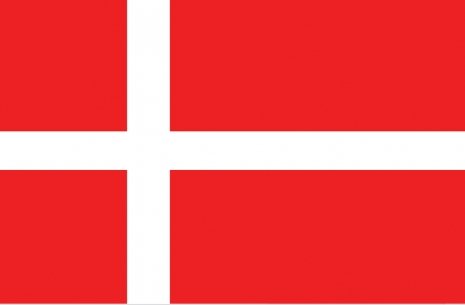 Worlds 2013 - team Denmark # Armwrestling # Armpower.net