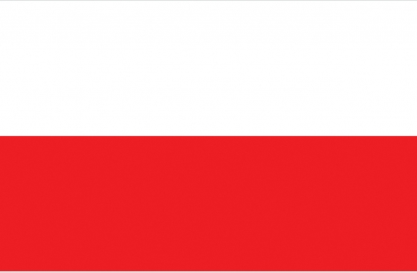 Worlds 2013 - team Poland # Armwrestling # Armpower.net