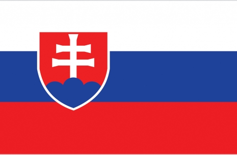 Worlds 2013 - team Slovakia # Armwrestling # Armpower.net