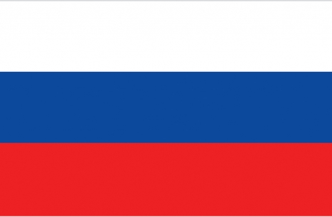 Worlds 2013 - team Russia # Armwrestling # Armpower.net