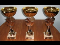 WHO WILL WIN THE TROPHYS? # Armwrestling # Armpower.net