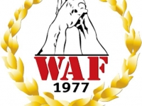 WAF crisis # Armwrestling # Armpower.net