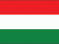Worlds 2013 - team Hungary # Armwrestling # Armpower.net